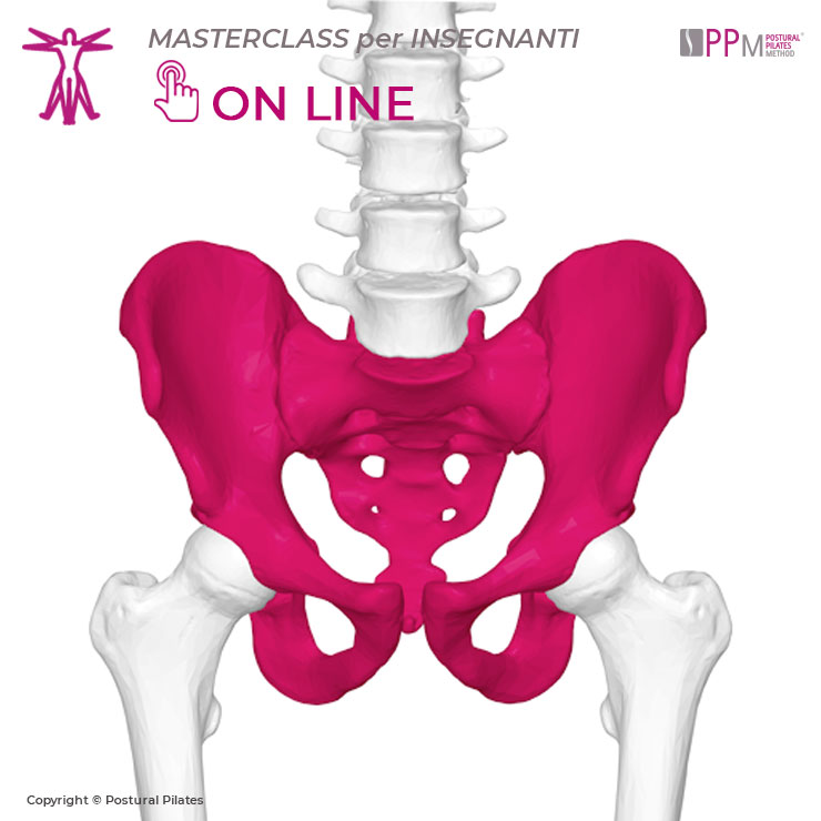 masterclass-insegnanti-biomeccanica-anche