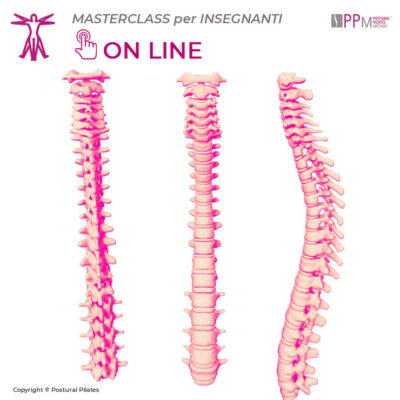 Workshop e Masterclass 14 masterclass_biomeccanica-colonna