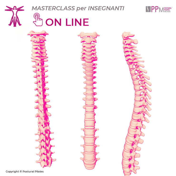 masterclass_biomeccanica-colonna