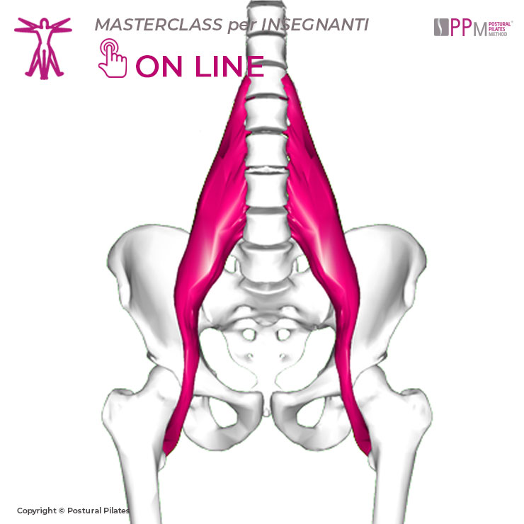 masterclass-psoas