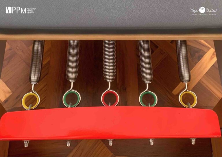 molle reformer