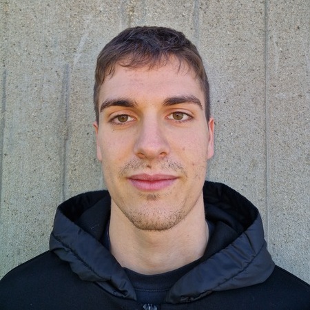 riccardo tomaino