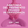Anatomia del pavimento pelvico in gravidanza - ON LINE, Gennaio/Febbraio 2026