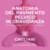 Anatomia del pavimento pelvico in gravidanza - Cagliari, Gennaio/Febbraio 2026