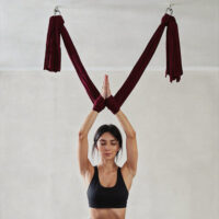 18/04/2026 | Intrecci: Vola con le amache - Aerial Yoga Masterclass